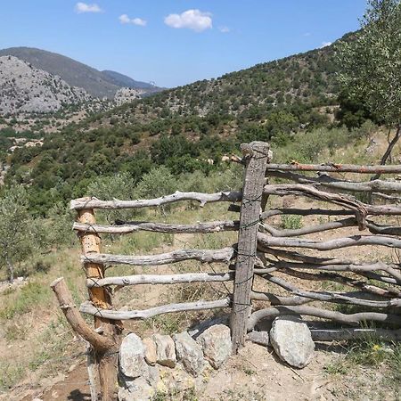 Les Bergeries "Le Figuier" Hotel Omessa Екстериор снимка