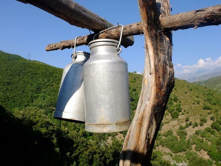 Les Bergeries "Le Figuier" Hotel Omessa Екстериор снимка