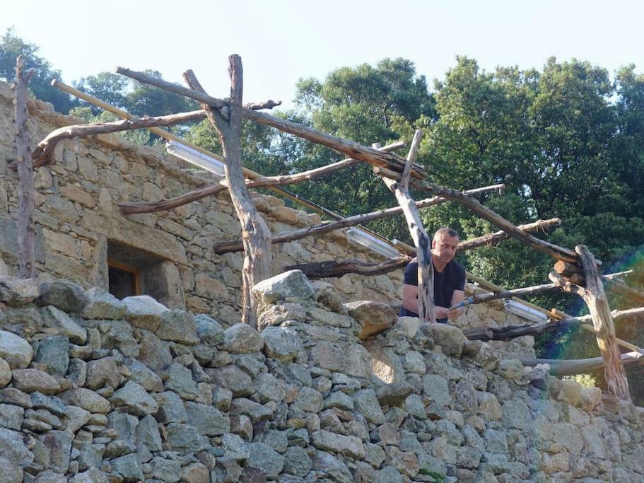 Les Bergeries "Le Figuier" Hotel Omessa Екстериор снимка