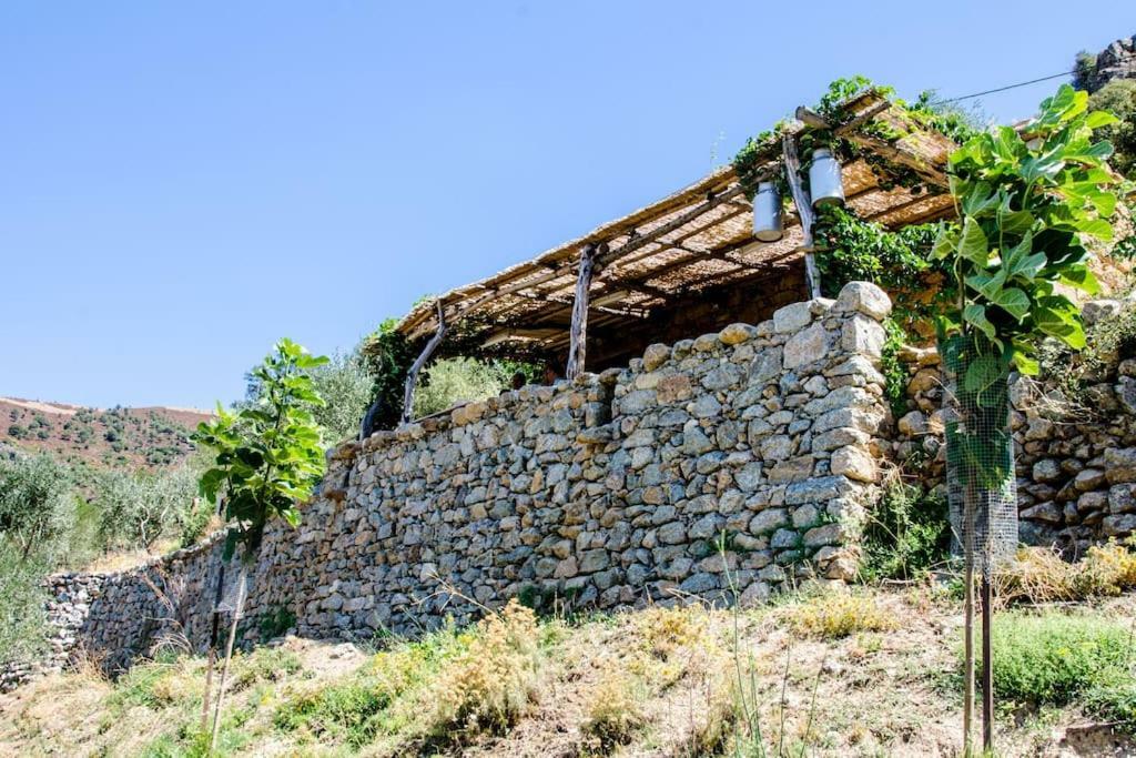 Les Bergeries "Le Figuier" Hotel Omessa Екстериор снимка