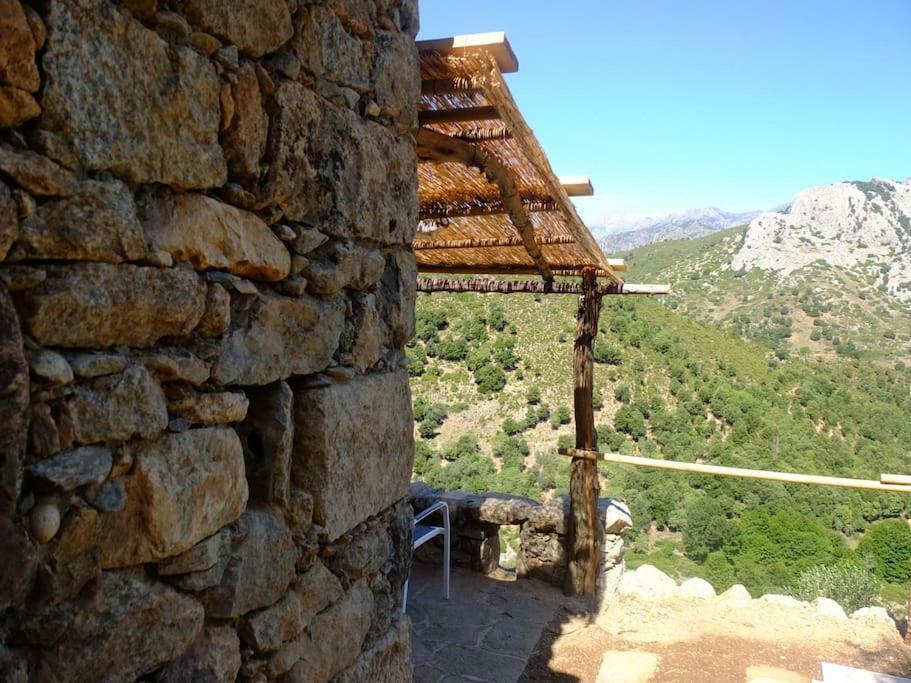 Les Bergeries "Le Figuier" Hotel Omessa Екстериор снимка