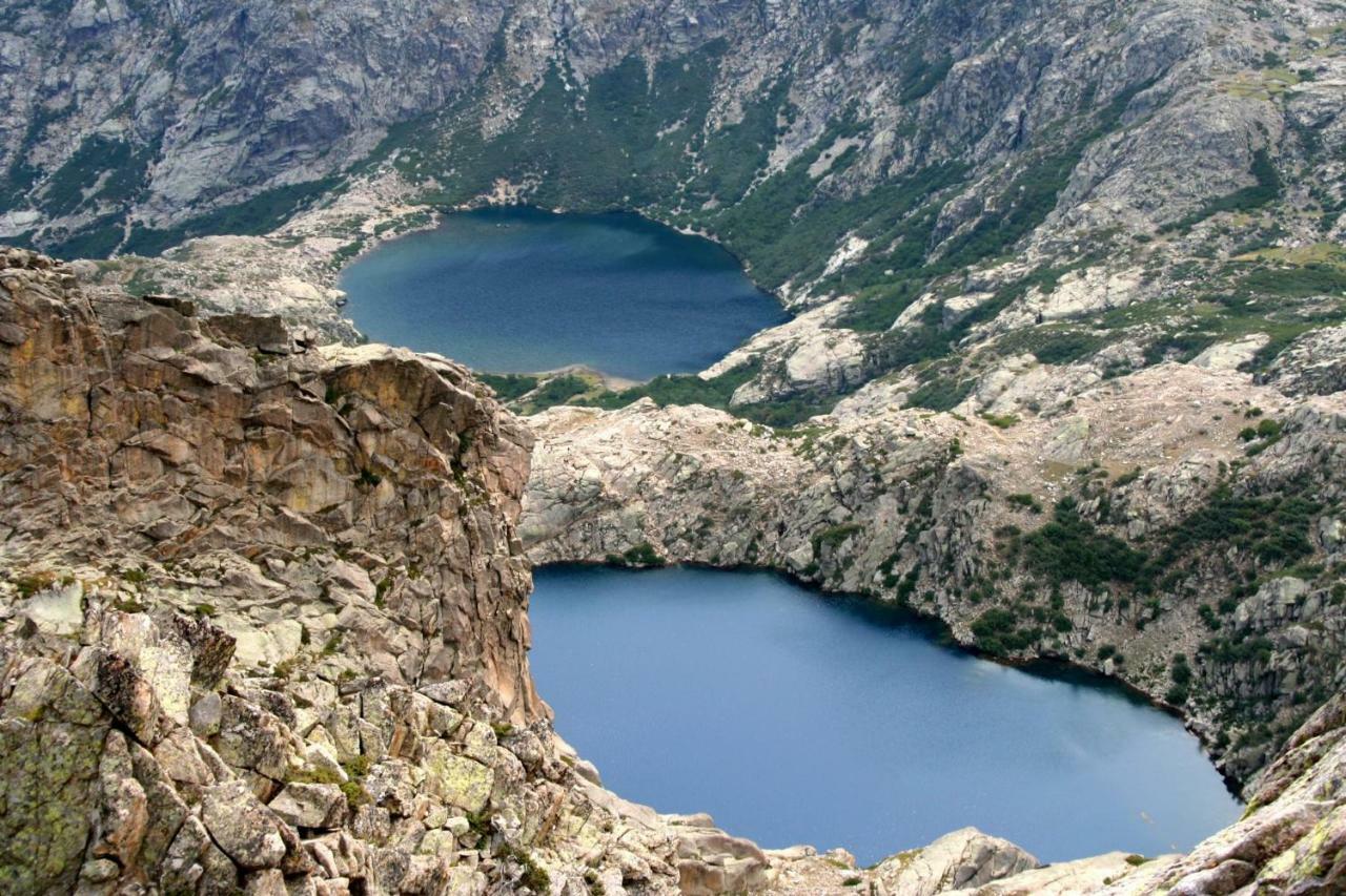 Les Bergeries "Le Figuier" Hotel Omessa Екстериор снимка