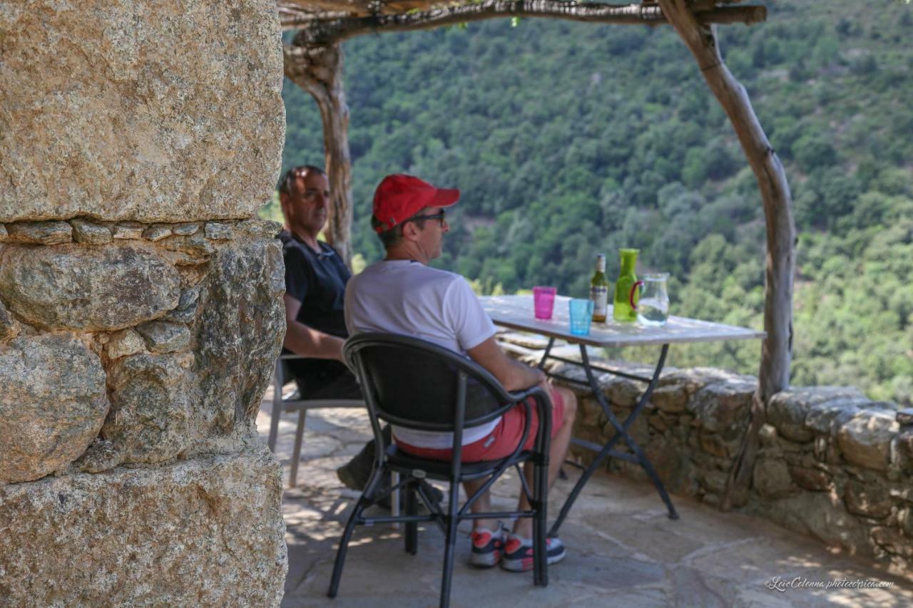 Les Bergeries "Le Figuier" Hotel Omessa Екстериор снимка