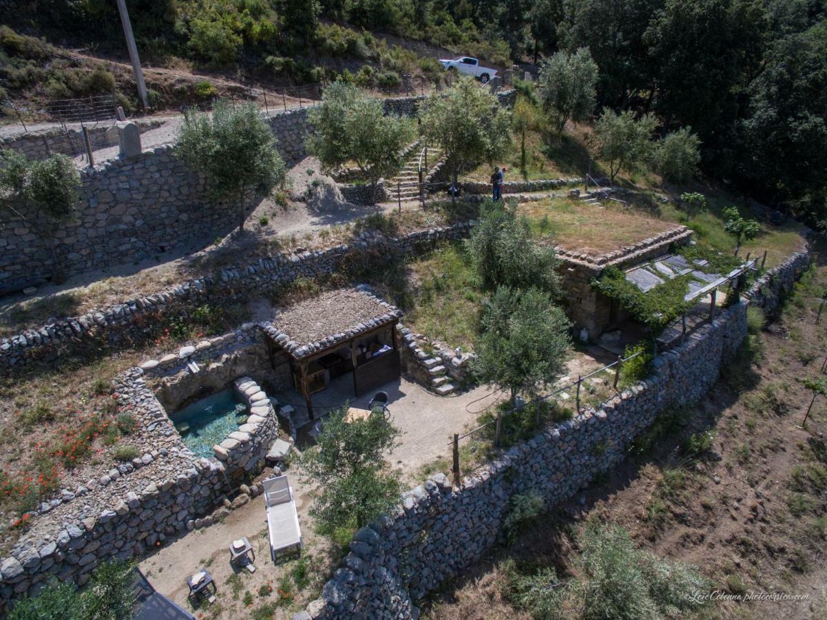 Les Bergeries "Le Figuier" Hotel Omessa Екстериор снимка