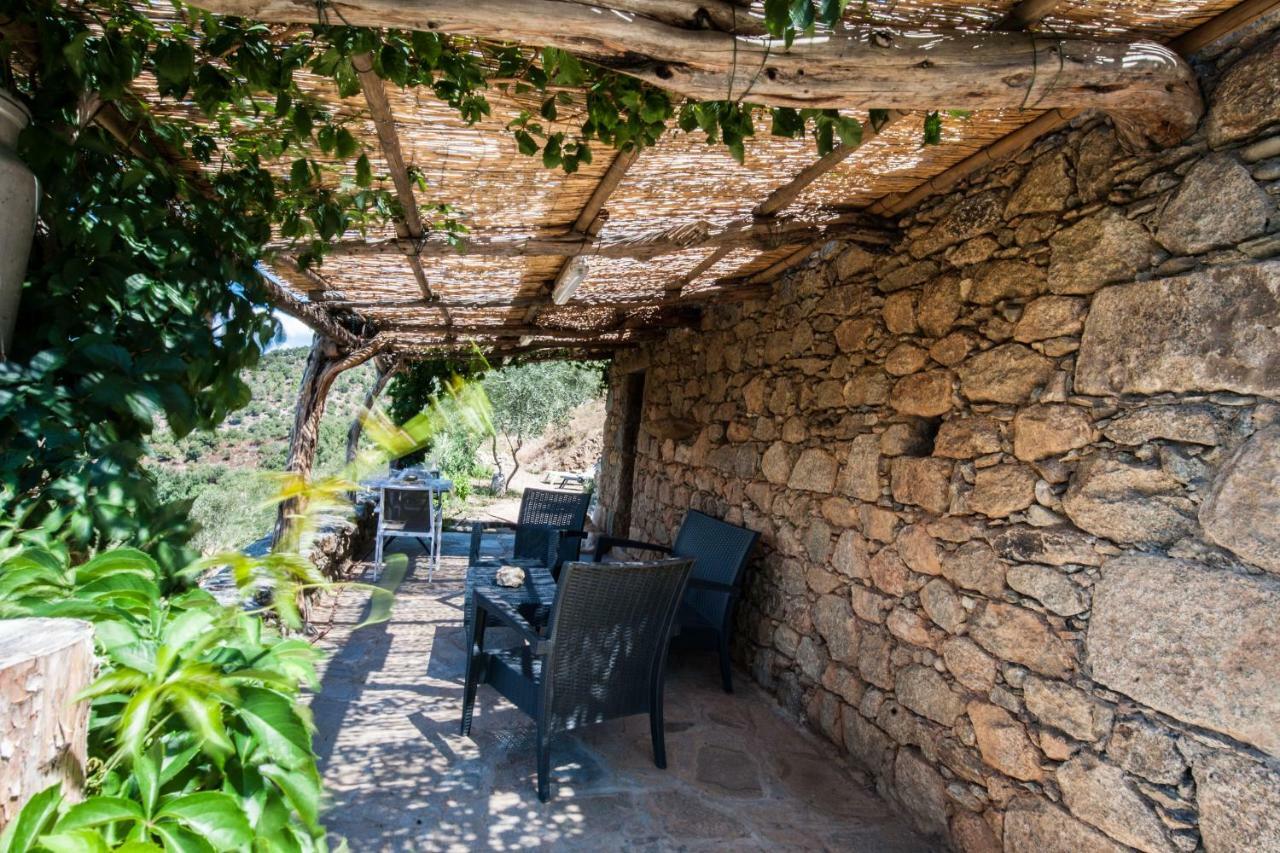 Les Bergeries "Le Figuier" Hotel Omessa Екстериор снимка