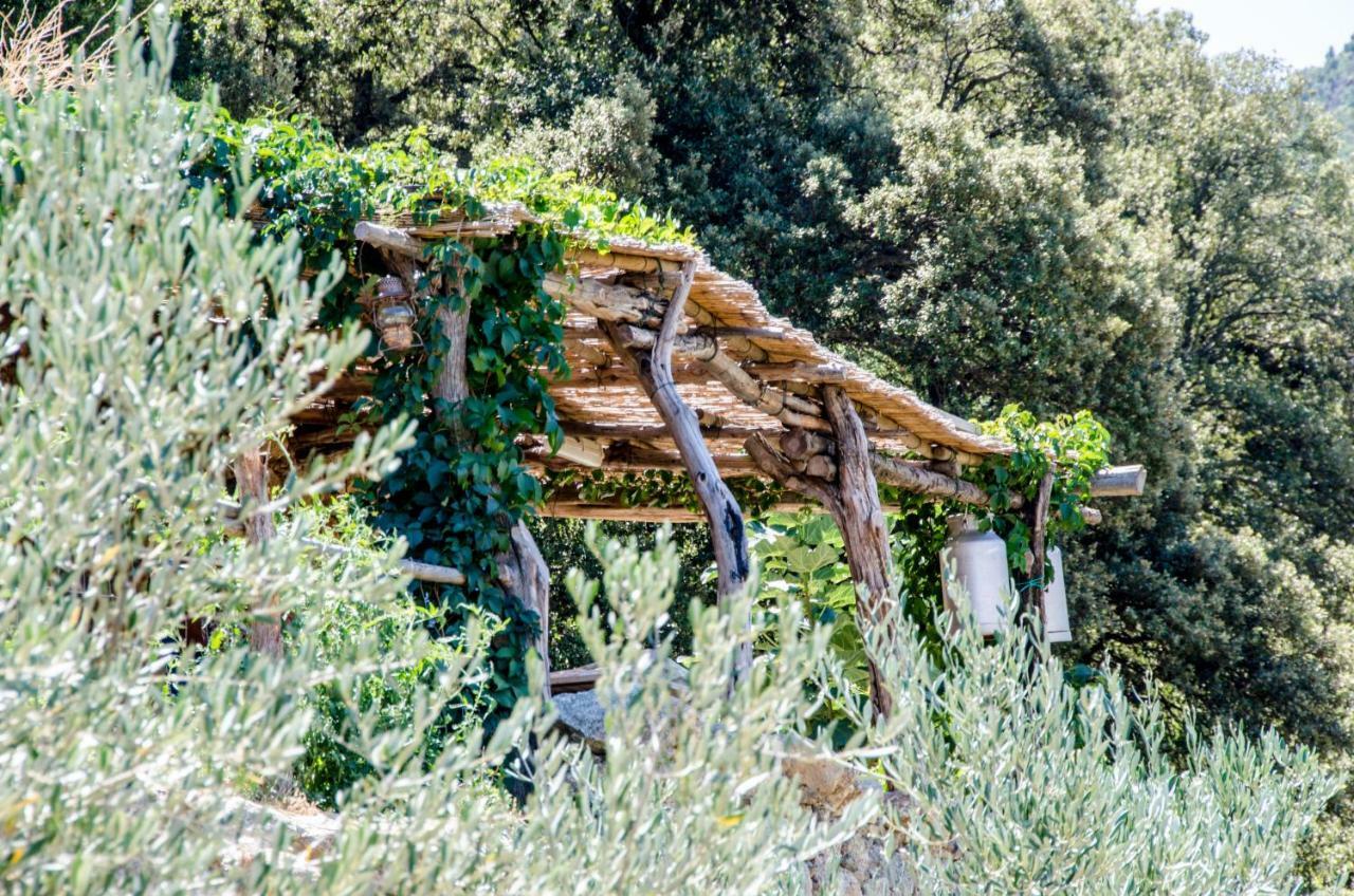 Les Bergeries "Le Figuier" Hotel Omessa Екстериор снимка